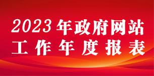 政府网站工作年度报表